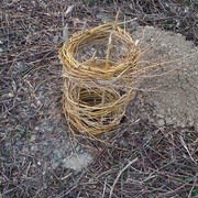 Il ne va quand même pas oser ?