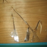 La pièce est placée, prêt pour la suivante