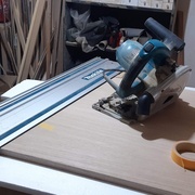 ma fidèle plongeante