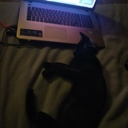 et hop on publie sur l'adb!!!