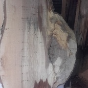 un peu de pourriture de cœur,