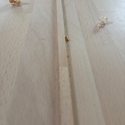 Baguette pour combler la rainure masquant les fils, avant rabotage