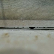 La fraise qui fera son travail