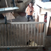 Pour le collage, j'ai l'aide de mon dernier qui a piqué le matériel de ses frères.