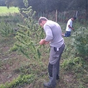 Effeuillage sur pied (pour éviter la moisissure)
