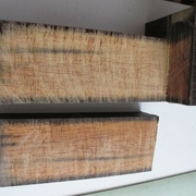 Fraichement coupé, on voit la progression de la coloration qui vire au noir