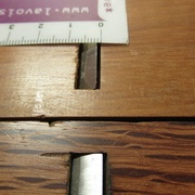 Haut: Goldenberg cormier ~1mm. Bas: chêne vert ~1mm