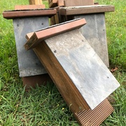 Nichoir à chauve-souris - frène thermo et ardoise