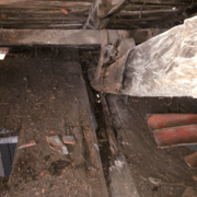 Détail entrait digéré