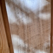 Planche n'ayant pas était raboté deux faces ou on voit bien les traces de scie et le champignong résiduel