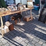 Au passage, j'en ai profité pour changer les pieds du plateau cbd.