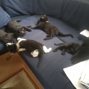 Ils bossent déjà sur des plans !