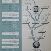 6 générations d'hommes ont écrit l'histoire de Peugeot (frise et arbre chronologique)