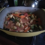 Sauce tomate, lait de coco, coriandre, curry...