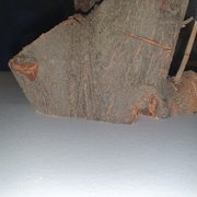 La planéité de la coupe est plutôt pas mal ;))