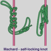 Le machard français