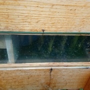 en voyant la photo, je me dis que j'aurais pu soigner la fixations des doubles vitres !!