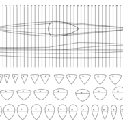 ensemble des 41 couples
