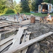 Les chutes vont servir pour les chemins dans la ferme florale ou en bois de chauffage
