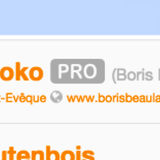 Exemple de badge PRO