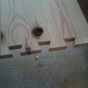 Queues d'arondes terminées