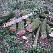 J'adore cette scie !!!