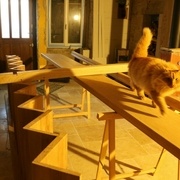 le chat nous a bien aide heuresement