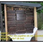 L'Air du Bois