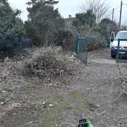 Un bon gros tas d'une partie de la jungle