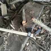 La hache déjà en essai