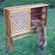 C'est quoi encore ce truc ?