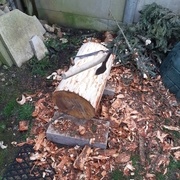 Ecorcage du bout de bois