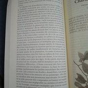 L'Air du Bois