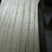 Maille sur quartier, frêne