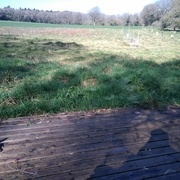 ...  dans le verger naissant (là où je dois poser la tiny!)