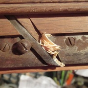 Accumulation de copeaux de l'outil à rainure...