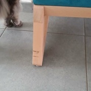 Mortaisage trop profond (ouf c'est à l'arrière)