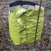 et une agrafe improvisée en branche de saule : si, si !