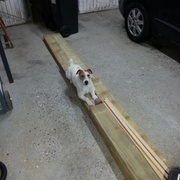 mon assistant veille à ce que les poutres ne se voilent pas