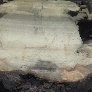 l'avant dernier débit.