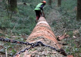 "Revenir au bois: pour une alternative forestière"
