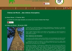 Du chêne pour Notre Dame ?