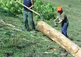 Le métier de bûcheron à travers les décennies