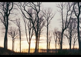 Reportage instructif