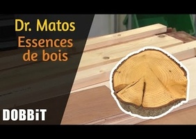 Comment le bois se rétracte et grandes familles de bois