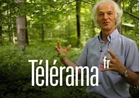 Ernest Zürcher, expert en langue des bois