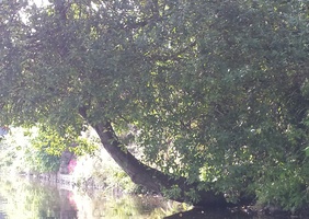 Pour faire un limon d'escalier