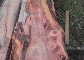 La nature fait bien les choses