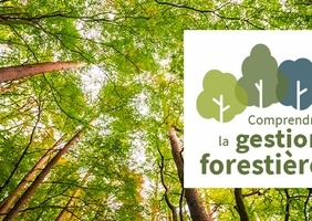 MOOC: Comprendre la gestion forestière