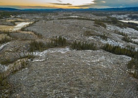 En Suède, l exploitation intensive des forêts remise en question